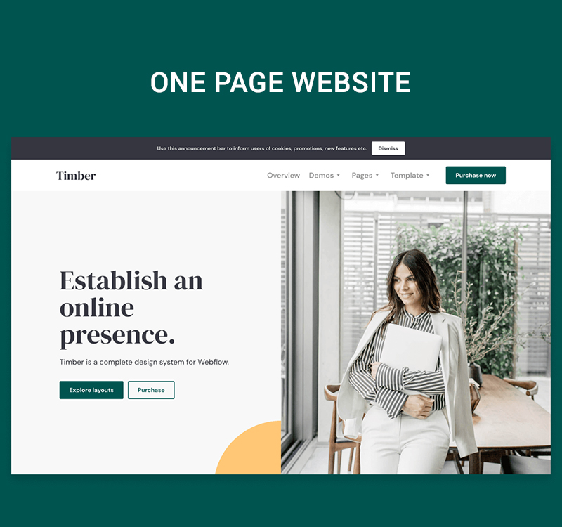 One page Website